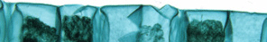 home-column-header1