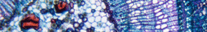 home-column-header3